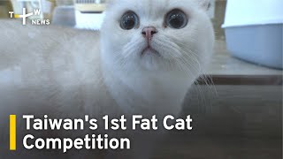 Kaoshiung Holds Taiwan's 1st Fat Cat Competition | TaiwanPlus News