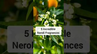 TOP Neroli Fragrances #shorts #perfume #fragrance