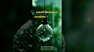 Azhagaai Pookkuthey song lyrics | Ninaithale inikkum movie | song by Janaki Iyer and Prasanna