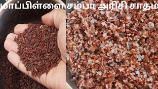 மாப்பிள்ளை சம்பா அரிசி சாதம் குக்கரில் சமைப்பது எப்படி/How to cook mapillai samba rice in cooker