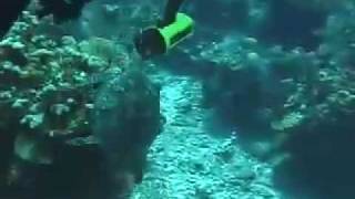 Angry Aggressive Diver