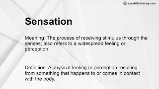 Sensation Meaning