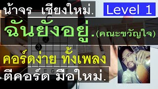 สอนกีต้าร์  ฉันยังอยู่ Level 1 (คณะขวัญใจ) คอร์ดง่าย ตีคอร์ด มือใหม่ - น้าจร เชียงใหม่ cover (1/2)