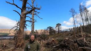 The Loch Arkaig Restoration Story Pt. 1