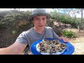 EP 10 - RAW vs GOURMET - How to make OYSTERS taste good!  Catch n Fry