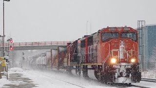 Late! CN 5662 in Brockville