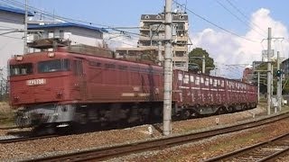 【ＪＲ貨物】 ５０７５レ ＥＦ８１-３０１