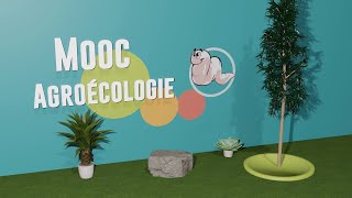 Live MOOC Agroécologie 2025 - séquence 3