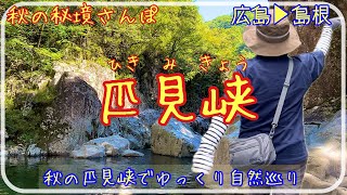 【匹見峡】広島秘境ドライブ 表と裏の匹見峡 [Hikimi Gorge] Autumn Trip in Japan