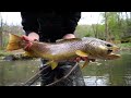 the ultimate fly fishing trout fishing video best of 2024 hardman fishing adventures