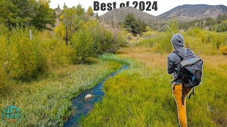 THE ULTIMATE FLY FISHING / TROUT FISHING VIDEO! (Best of 2024 - Hardman Fishing Adventures)