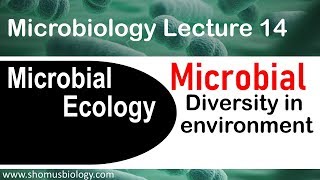 Microbial ecology and diversity | Microbiology lecture 14