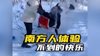 盘点南方人体验不到的快乐#雪地里撒欢 #冬天该有的样子 #浏览量