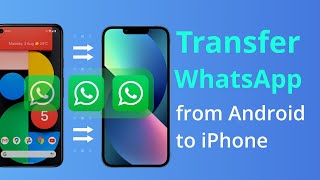 [2 Ways] How To Transfer WhatsApp Messages from Android to iPhone without Erasing 2022