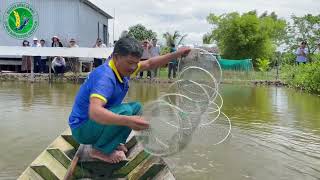 Thực trạng và giải pháp nâng cao năng suất nuôi tôm quảng canh cải tiến