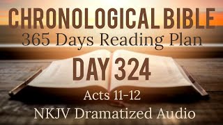 Day 324 - One Year Chronological Daily Bible Reading Plan - NKJV Dramatized Audio Version - Nov 20