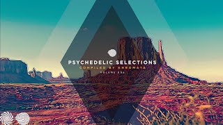 Khromata - Psychedelic Selections 6 (Iboga Records / Full Album)