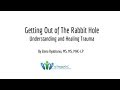 Get Out of the Rabbit Hole! Understanding & Healing Trauma