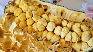 Easiest Correct Way To Open A Ripe Cempedak (Jackfruit Family) Asia Street Food Knife Cutting Skills