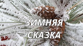 Снежный пейзаж. Зимняя сказка. Красивая музыка Сергея Чекалина.