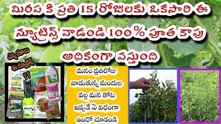 మిరప లో పండాకు - పోషకాల లోపం వలన chilli pandaku nutrient deficiency in తెలుగు