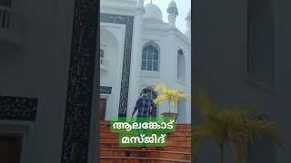 ആലങ്കോട് പള്ളി തെക്കൻ കേരളത്തിൽ അറിയപ്പെടുന്ന ഒരു മഖ്ബറയും പള്ളിയും