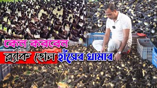 কেন করবেন ব্ল্যাক হোল হাঁসের খামার | হাঁসের খামার | Duck farming | Khamar Bangla 24.