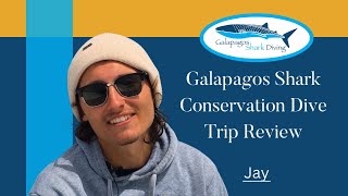 Jay's Review of Galapagos Dive Liveaboard Experience: Whale Shark Diving with a Purpose