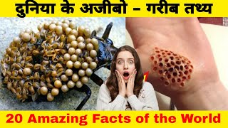 Amazing facts of the World | दुनिया के 20 आश्चर्यजनक तथ्य |