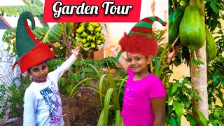 இந்த கோடையில் எங்கள் வீட்டுத் தோட்டம்||Our home garden this summer||ஒரு குளுகுளு Summer||Garden tour