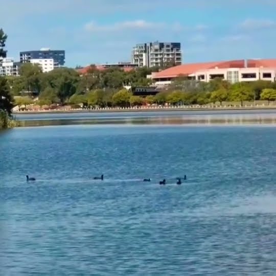 Beautiful Natureрџ Shorts Travel Satisfying Shortn Naturelovers