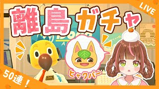 【あつ森生配信】新年一発目！離島50回でヒャクパーちゃんに出会うぞ！🍊851連目～【離島ガチャ】