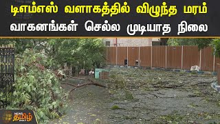 டிஎம்எஸ் வளாகத்தில் விழுந்த மரம் | வாகனங்கள் செல்ல முடியாத நிலை.! | Teynampet DMS | Mandous Cyclone