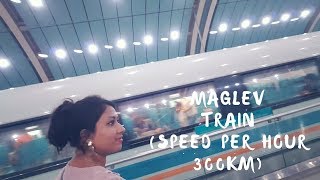 Maglev Train Shanghai (speed per hour 300 km)!!!! || China vlog