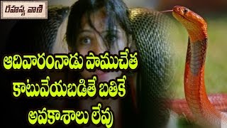 Mysteries Of The Snake Goddess || వారంలో ఏ రోజు సర్పాలు నాగలోకం ఉండి భూలోకానికి వస్తాయి