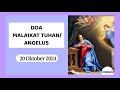 Oremus Doa Malaikat Tuhan/ Angelus PS 15 - 20 Okt 2024 #angelus #malaikattuhan #doa #pray #maria