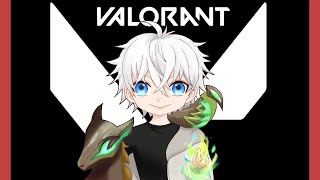 【VALORANT】フィジカルギフテッド修行僧～カスタム練習だ！【影雨氷 愛吸】