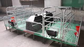 Farrowing Crate Piggery Pig cage