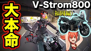 [V-Strom 800] Long-Distance Ride & Full Comparison by a V-Strom 650 Rider [SUZUKI V-Strom 800]