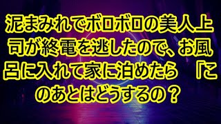 泥まみれでボロボロの美人上司が終電を逃したので、お風呂に入れて家に泊めたら　「このあとはどうするの？」【いい話・朗読・泣ける話】