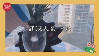 留守武汉vlog2：武汉人的一天如何度过？