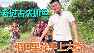 跟随老挝小朋友体验古法抓鱼，稻田里徒手上大货，这鱼从来没见过  #海派高手