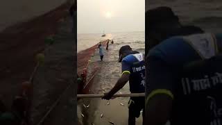 कोकणातील रापण kokanatil rapan fishing