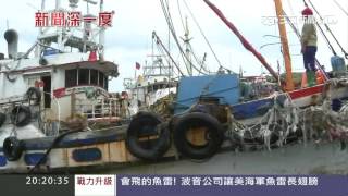 【新聞深一度】海中死亡之牆　流刺網捕魚殺無赦｜三立新聞台