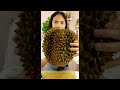 How to open a DURIAN