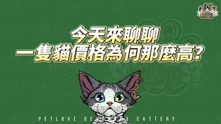 今天我們來告訴各位～貓舍的一隻貓😸為何價格💰那麼高😲⁉只能說：「就是一分錢💵，一分品質💯。」