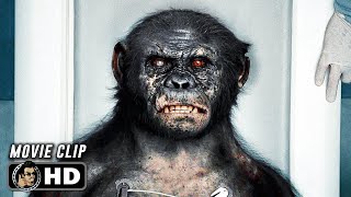 RISE OF THE PLANET OF THE APES Clip - "Gen-Sys Laboratories" (2011) Sci-Fi