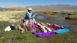 Documentaire Mujeres del agua, soutenu par la Ville de Carouge