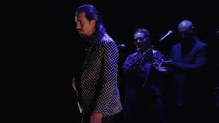 Flamenco superstar Farruquito comes to Boston Nov 02, 2022