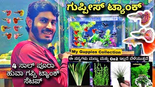 Guppies ಟ್ಯಾಂಕ್, 4 ವರ್ಷಗಳ ಹಳೆಯ Guppies ಟ್ಯಾಂಕ್ ಅಪ್ಡೇಟ್, How to care guppies in kannada